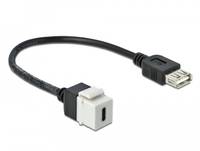 DeLOCK Keystone module - Modulare Eingabe - USB Typ C