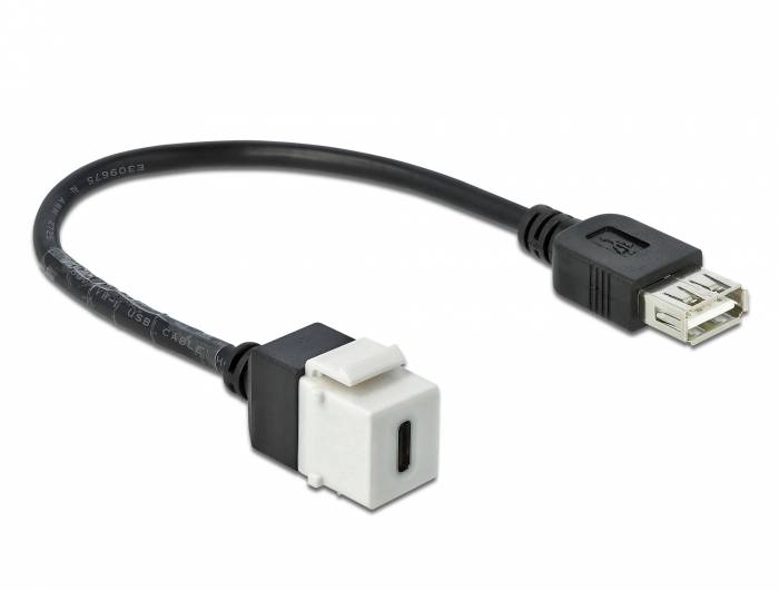 DeLOCK Keystone module - Modulare Eingabe - USB Typ C
