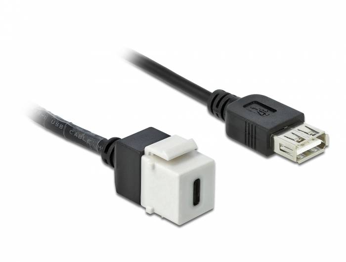 DeLOCK Keystone module - Modulare Eingabe - USB Typ C