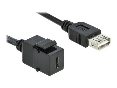 DeLOCK Keystone module - Modulare Eingabe - USB Typ C