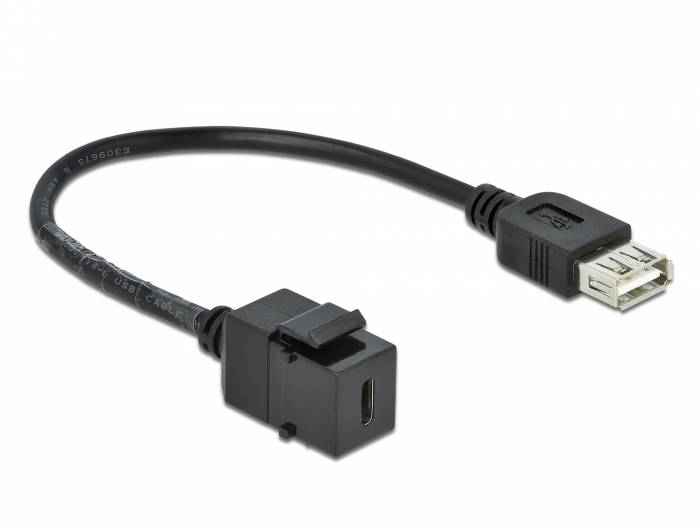 DeLOCK Keystone module - Modulare Eingabe - USB Typ C