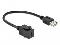 DeLOCK Keystone module - Modulare Eingabe - USB Typ C