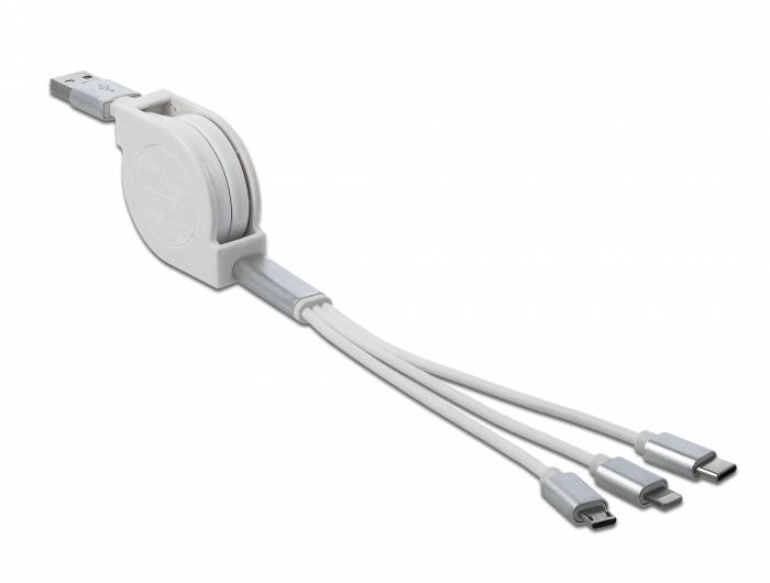 Delock - Lightning-Kabel - USB männlich zu Micro-USB Typ B, Lightning, 24 pin USB-C männlich