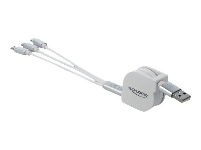 Delock - Lightning-Kabel - USB männlich zu Micro-USB Typ B, Lightning, 24 pin USB-C männlich