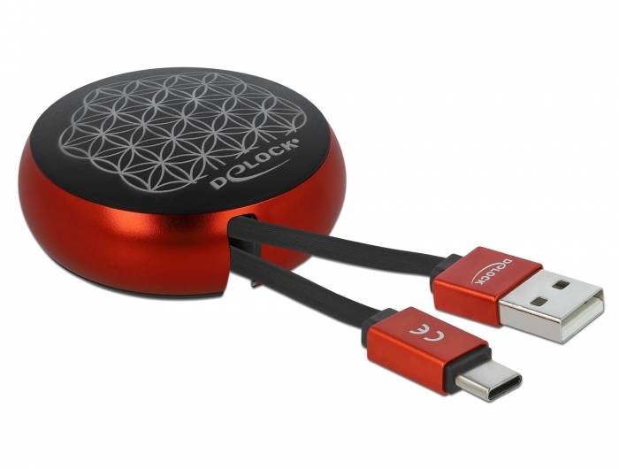 Delock - USB-Kabel - USB (M) zu 24 pin USB-C (M)