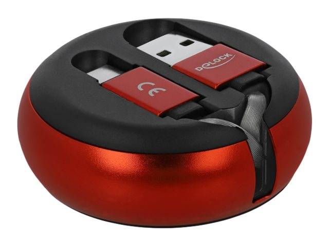 Delock - USB-Kabel - USB (M) zu 24 pin USB-C (M)