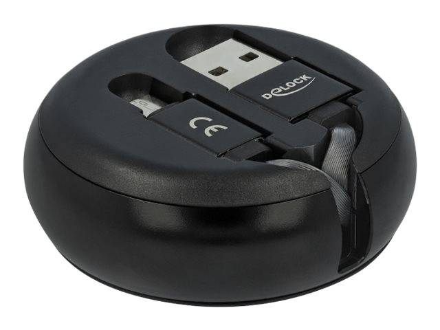 DeLOCK - USB-Kabel - USB (M) bis Micro-USB Typ B (M)