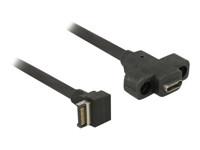 DeLOCK - USB-Kabel intern auf extern - 20-poliger USB 3.0 Kopf (M)