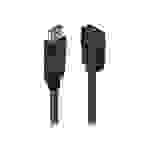 Lindy - Video- / Audio-Adapter - DisplayPort (M)