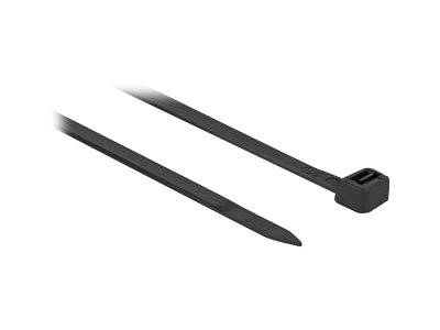 DeLOCK - Kabelbinder - 1.02 m - Schwarz (Packung mit 10)