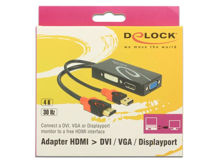 DeLOCK - Videokonverter - HDMI - DVI, DisplayPort, VGA