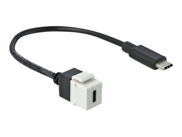 DeLOCK Keystone module - USB-Kabel - USB-C (W)