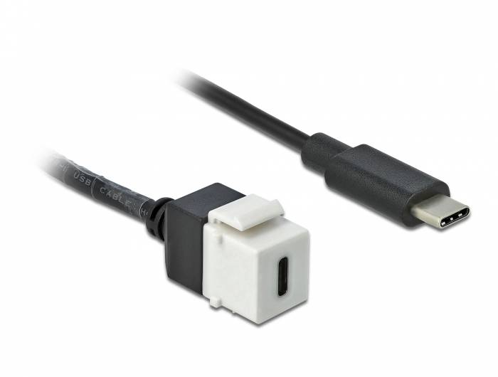 DeLOCK Keystone module - USB-Kabel - USB-C (W)