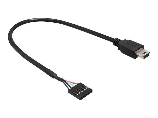 DeLOCK USB 2.0 Pin Header - Interner und externer USB-Adapter - Mini-USB, Typ B (M)