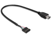 DeLOCK USB 2.0 Pin Header - Interner und externer USB-Adapter - Mini-USB, Typ B (M)