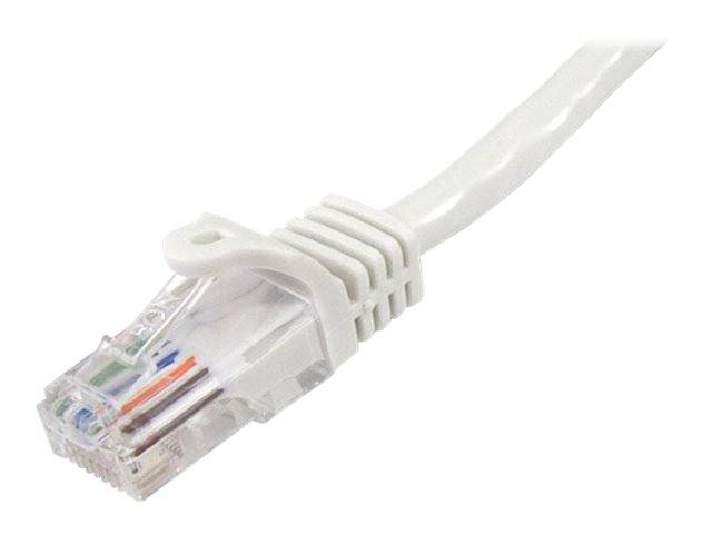 Nahaufnahme eines weißen Ethernet-Kabels mit einem RJ45-Netzwerkverbindungsstecker auf einfachem Hintergrund.