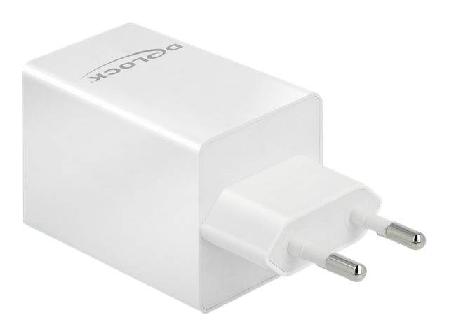 Delock - Netzteil - 48 Watt - 3 A - Fast Charge, PD 3.0 - 2 Ausgabeanschlussstellen (USB, 24 pin USB-C)