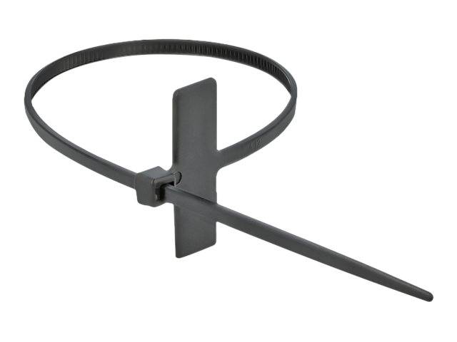DeLOCK Cable Tie with Label Tap - Kabelbinder - 10 cm - Schwarz (Packung mit 10)