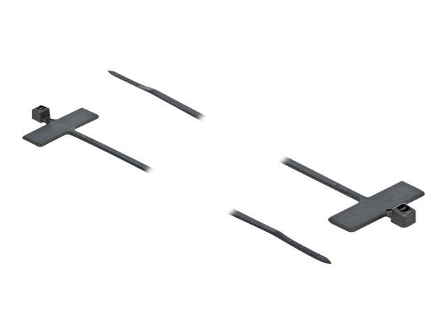 DeLOCK Cable Tie with Label Tap - Kabelbinder - 10 cm - Schwarz (Packung mit 10)