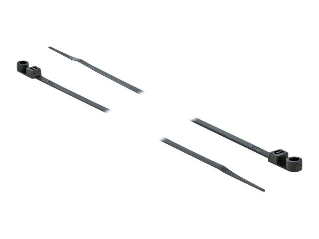 DeLOCK Cable Tie with Fastening Eyelet - Kabelbinder - 20 cm - Schwarz (Packung mit 10)