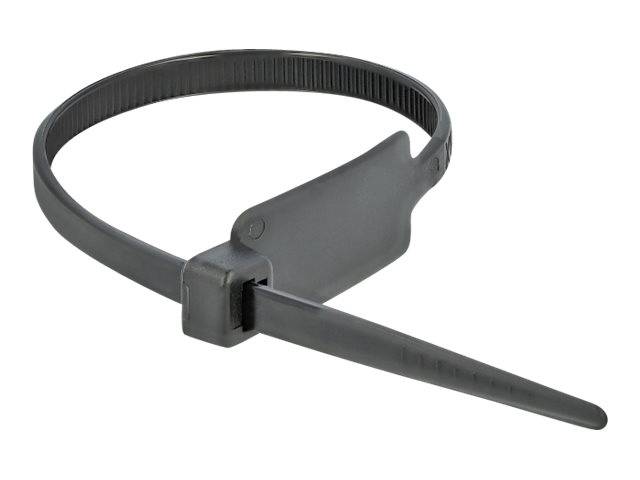 DeLOCK Cable Tie with Label Tap - Kabelbinder - 27 cm - Schwarz (Packung mit 10)
