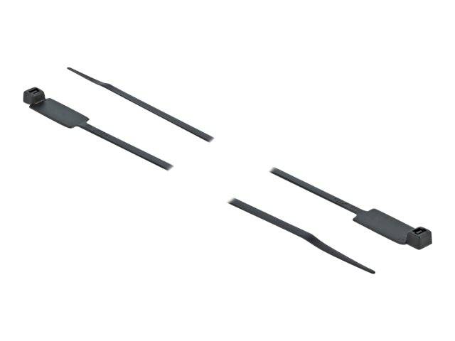 DeLOCK Cable Tie with Label Tap - Kabelbinder - 27 cm - Schwarz (Packung mit 10)