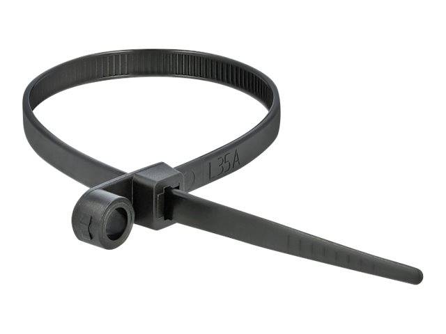 DeLOCK Cable Tie with Fastening Eyelet - Kabelbinder - 16 cm - Schwarz (Packung mit 10)