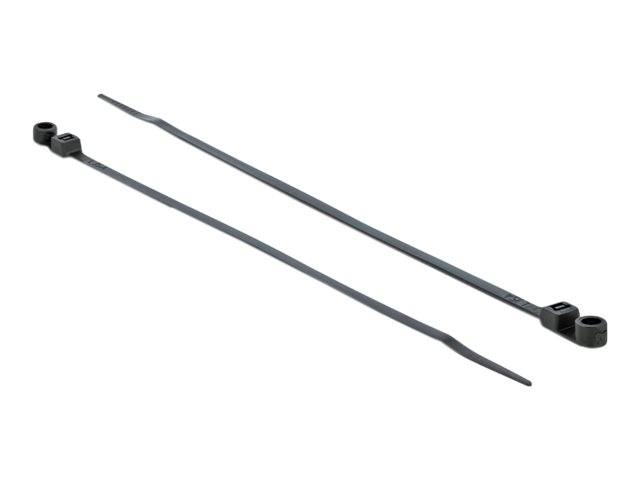 DeLOCK Cable Tie with Fastening Eyelet - Kabelbinder - 16 cm - Schwarz (Packung mit 10)