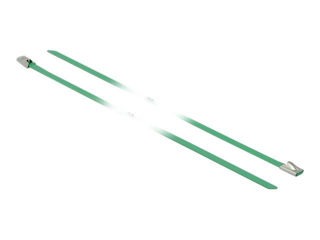 DeLOCK - Kabelbinder - 30 cm - grün (Packung