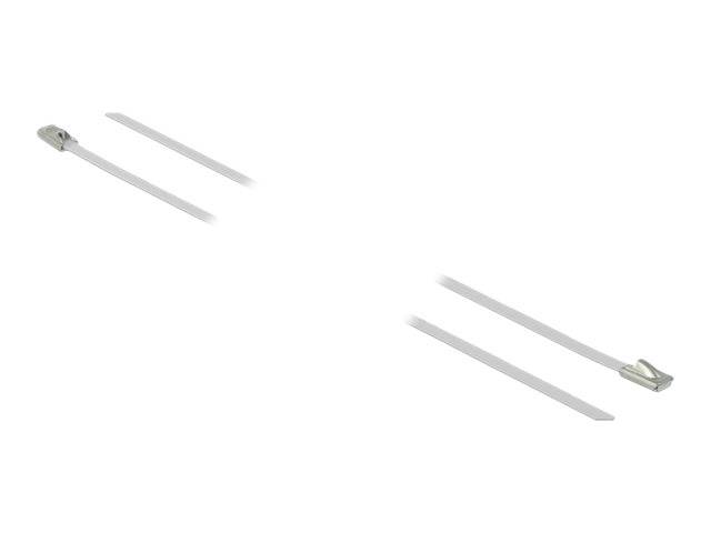 DeLOCK - Kabelbinder - 50 cm - weiß (Packung