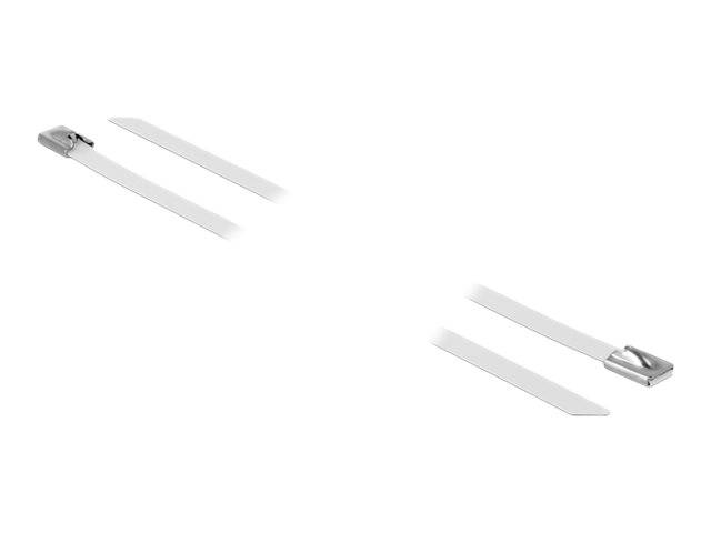 DeLOCK - Kabelbinder - 30 cm - weiß (Packung