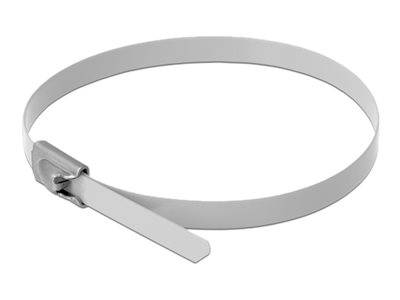 DeLOCK - Kabelbinder - 20 cm - weiß (Packung
