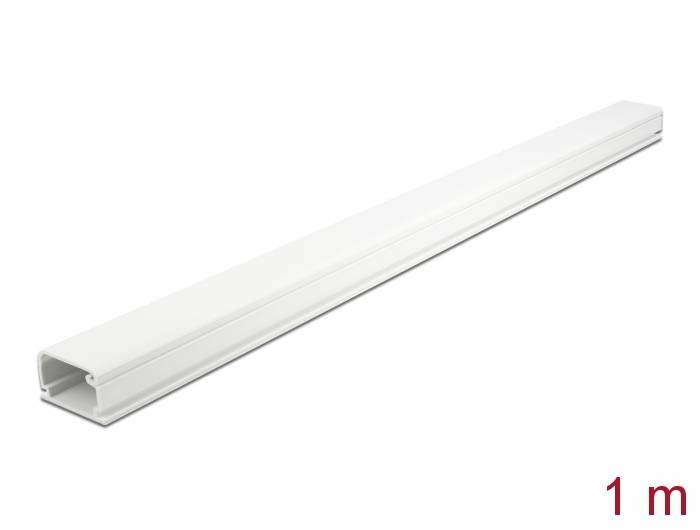 Delock - Kabelkanal mit Abdeckung - 1 m - weiß