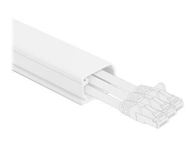 Delock - Kabelkanal mit Abdeckung - 1 m - weiß