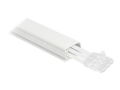 Delock - Kabelkanal mit Abdeckung - 1 m - weiß