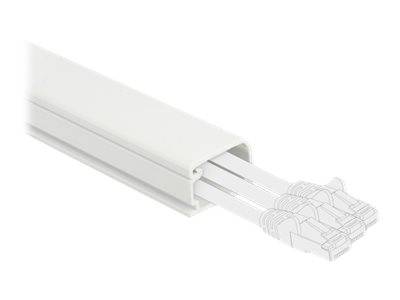 Delock - Kabelkanal mit Abdeckung - 1 m - weiß