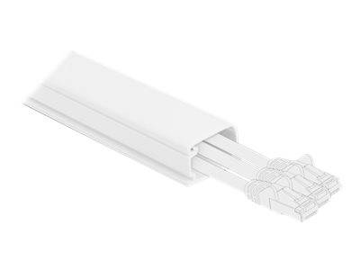 Delock - Kabelkanal mit Abdeckung - 1 m - weiß