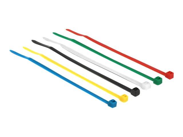 DeLOCK farbig - Kabelbinder-Kit - 10 cm