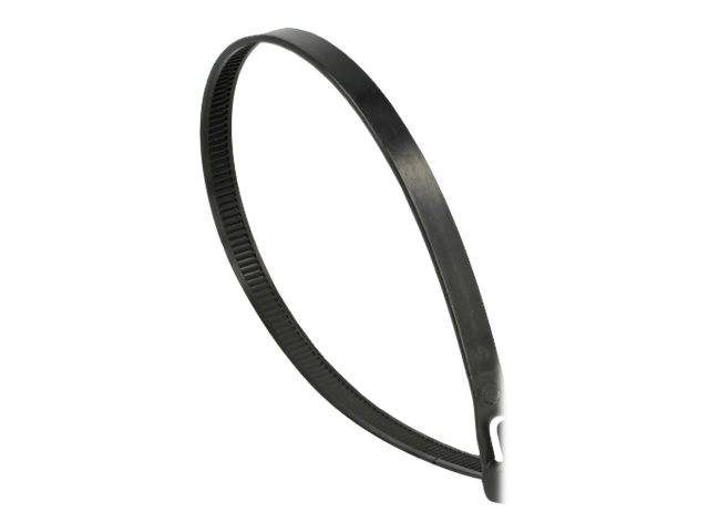 DeLOCK - Kabelbinder - 30 cm - Schwarz (Packung