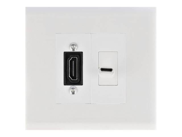 Delock - Easy 45 - Rahmen - 2 Module - weiß