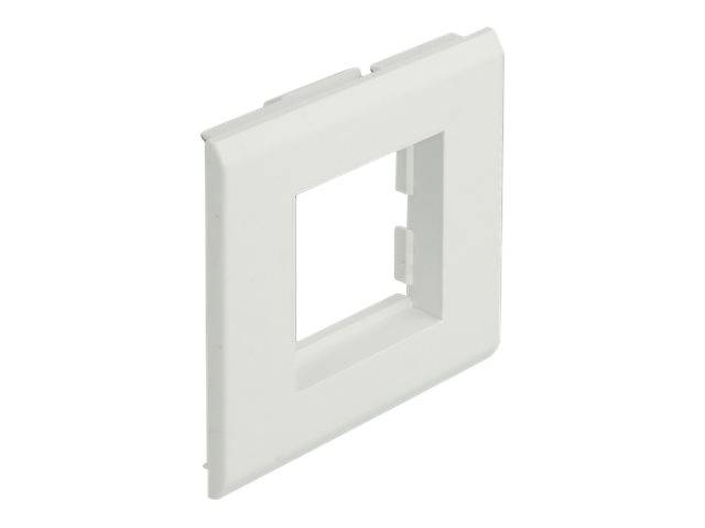Delock - Easy 45 - Rahmen - 2 Module - weiß