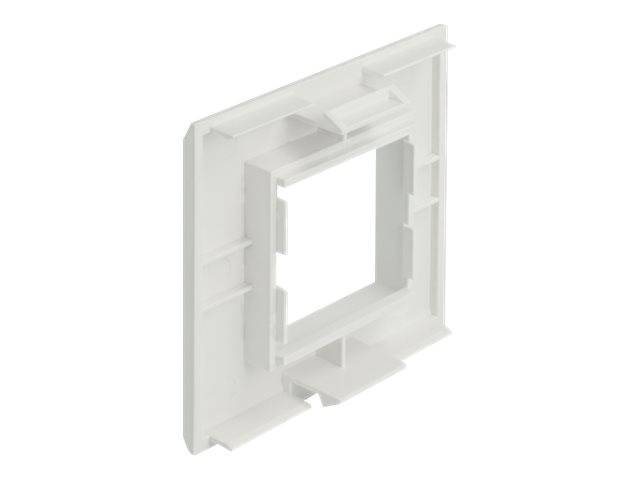 Delock - Easy 45 - Rahmen - 2 Module - weiß