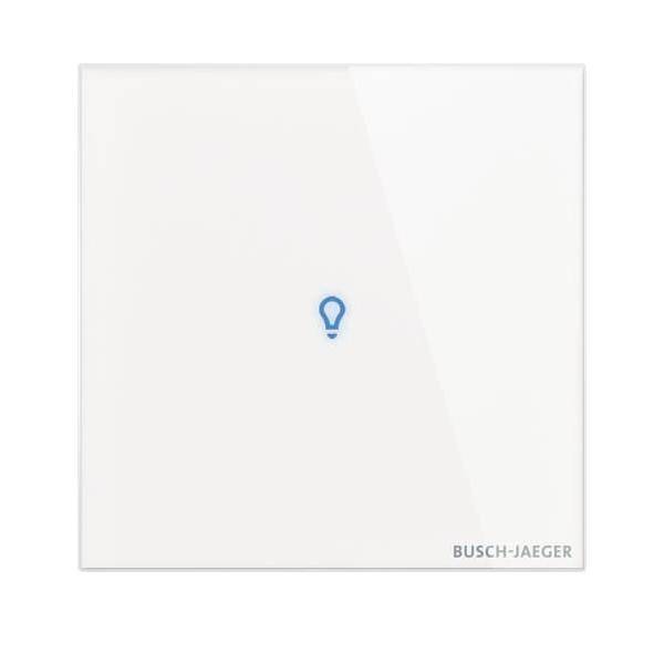 Busch-Jaeger Bedienelement TB/U1-CG