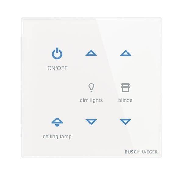 Busch-Jaeger Bedienelement TB/U6-CG