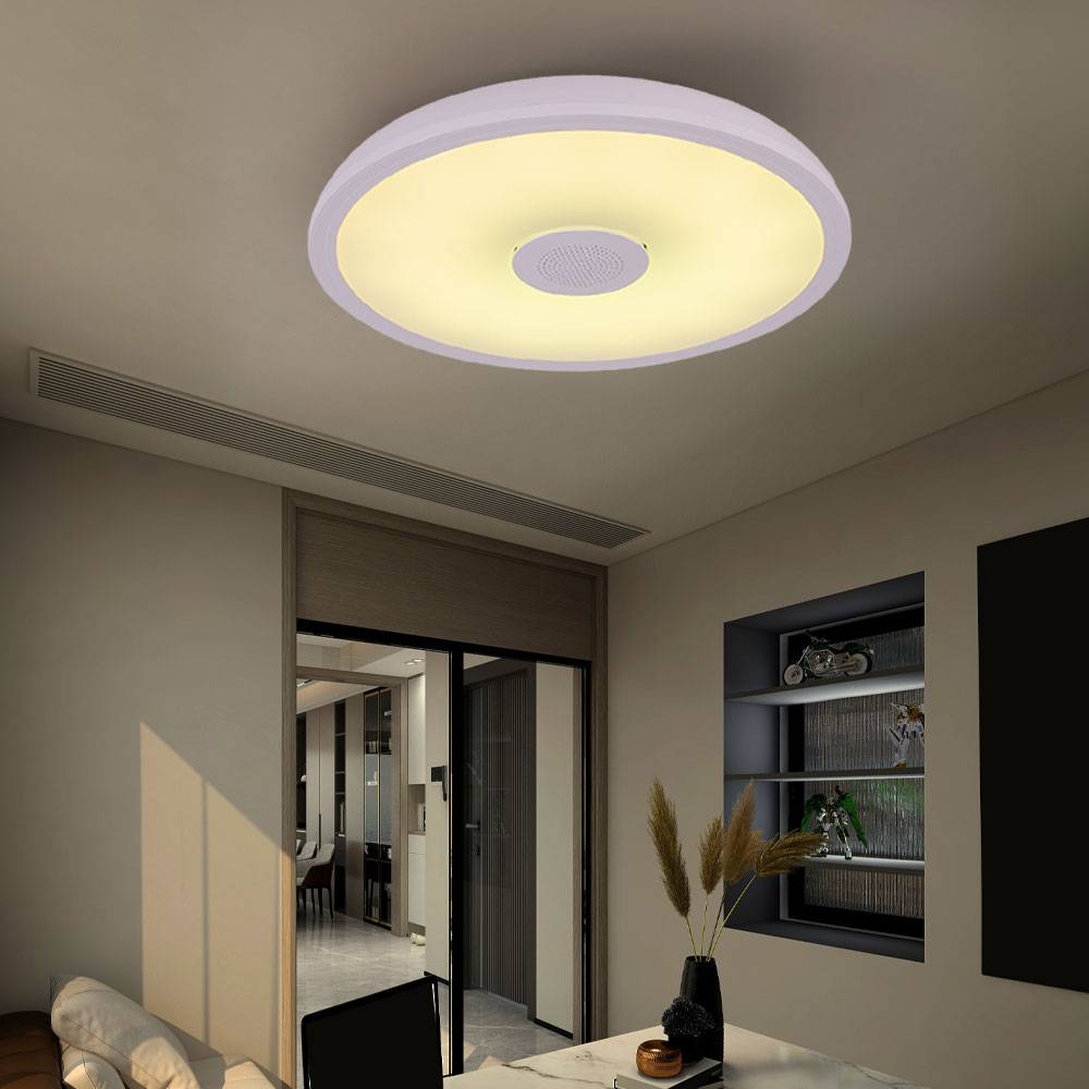 RGB LED Deckenleuchte Fernbedienung Deckenlampe Küche LED Lautsprecher Leuchte warm-kaltweiß , mit Farbewechsel dimmbar, 1x 18W 1100lm 3000-6500K,