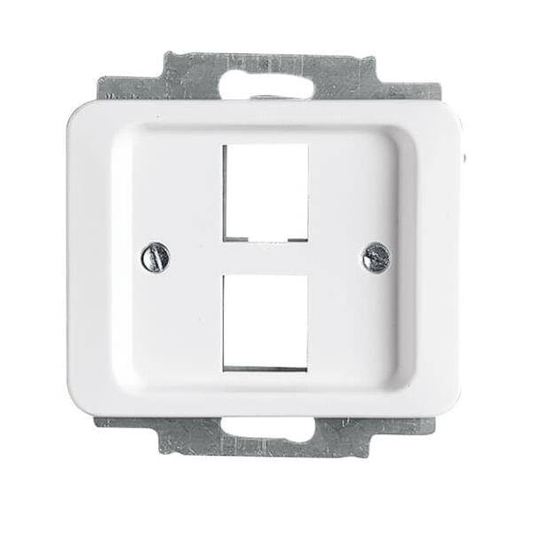 Busch-Jaeger Zentralscheibe stws gl 2561-02-24G