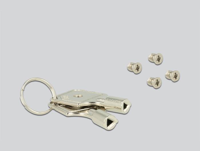 DeLOCK - Träger für Speicherlaufwerk (Caddy) - 2.5" (6.4 cm)