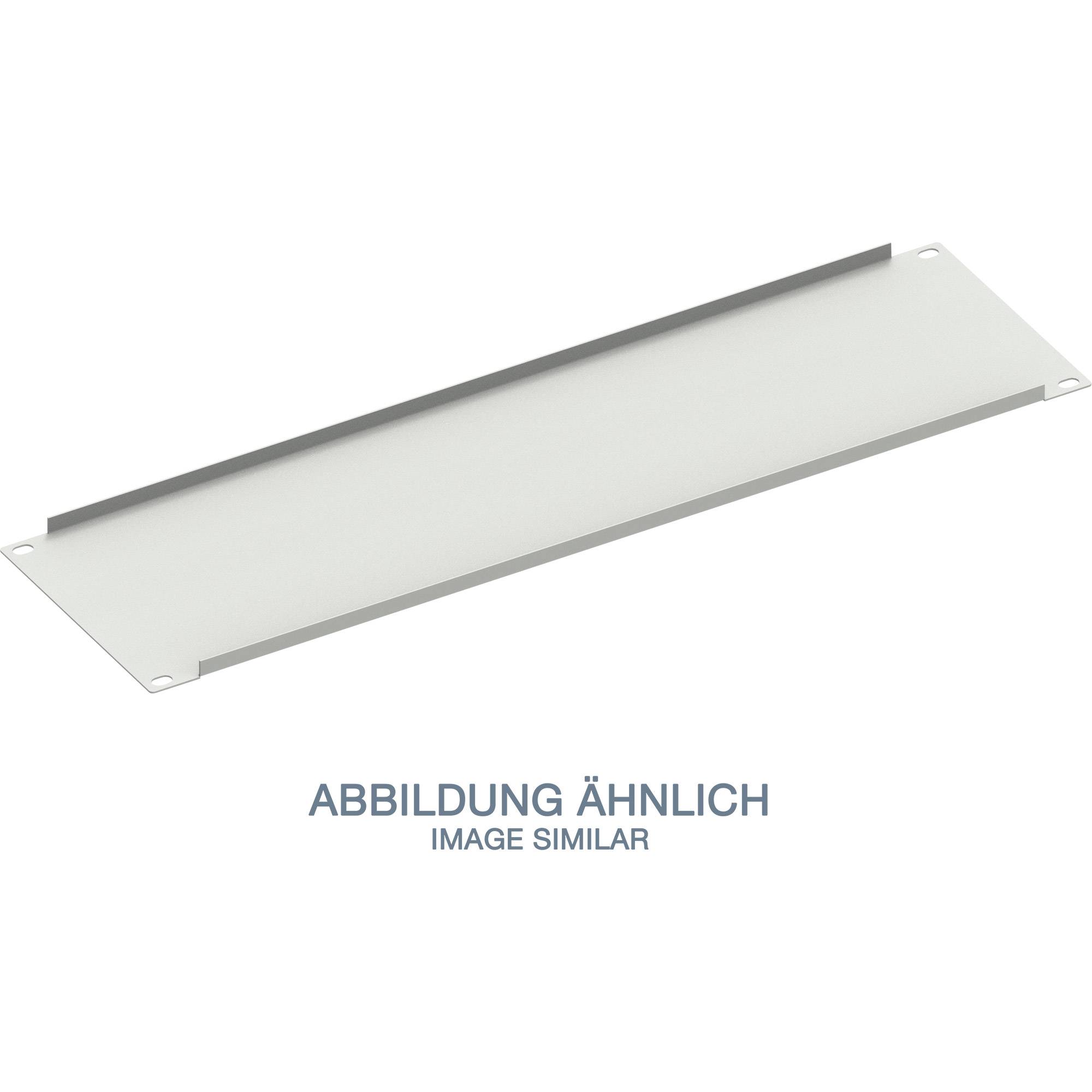 TRITON Blindabdeckung - RAL 7035 - 1U - 25.4 cm (10") - 1 HE