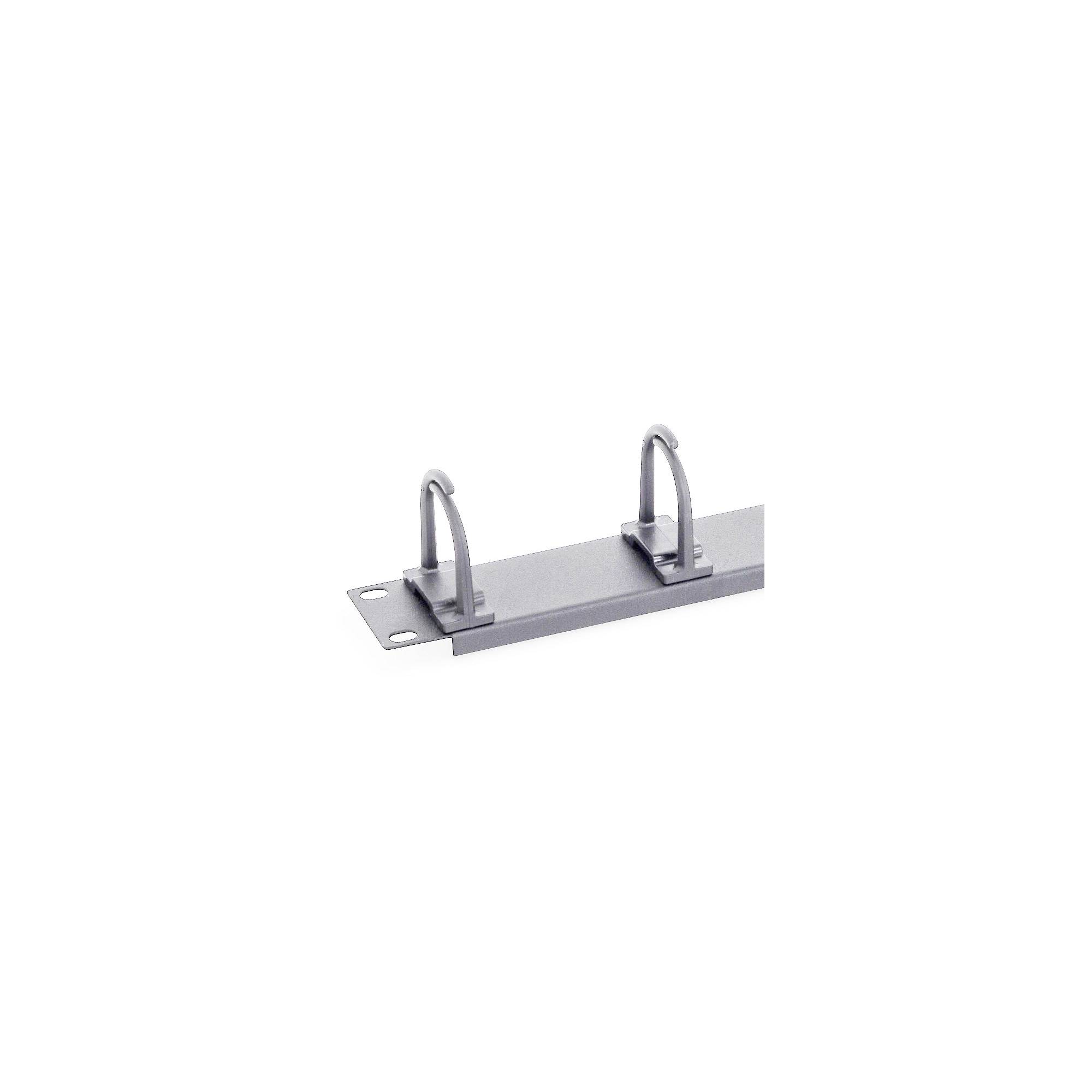 Triton - Rack-Kabelmanagementring (horizontal) - RAL 7035 - 1U - 48.3 cm (19"")