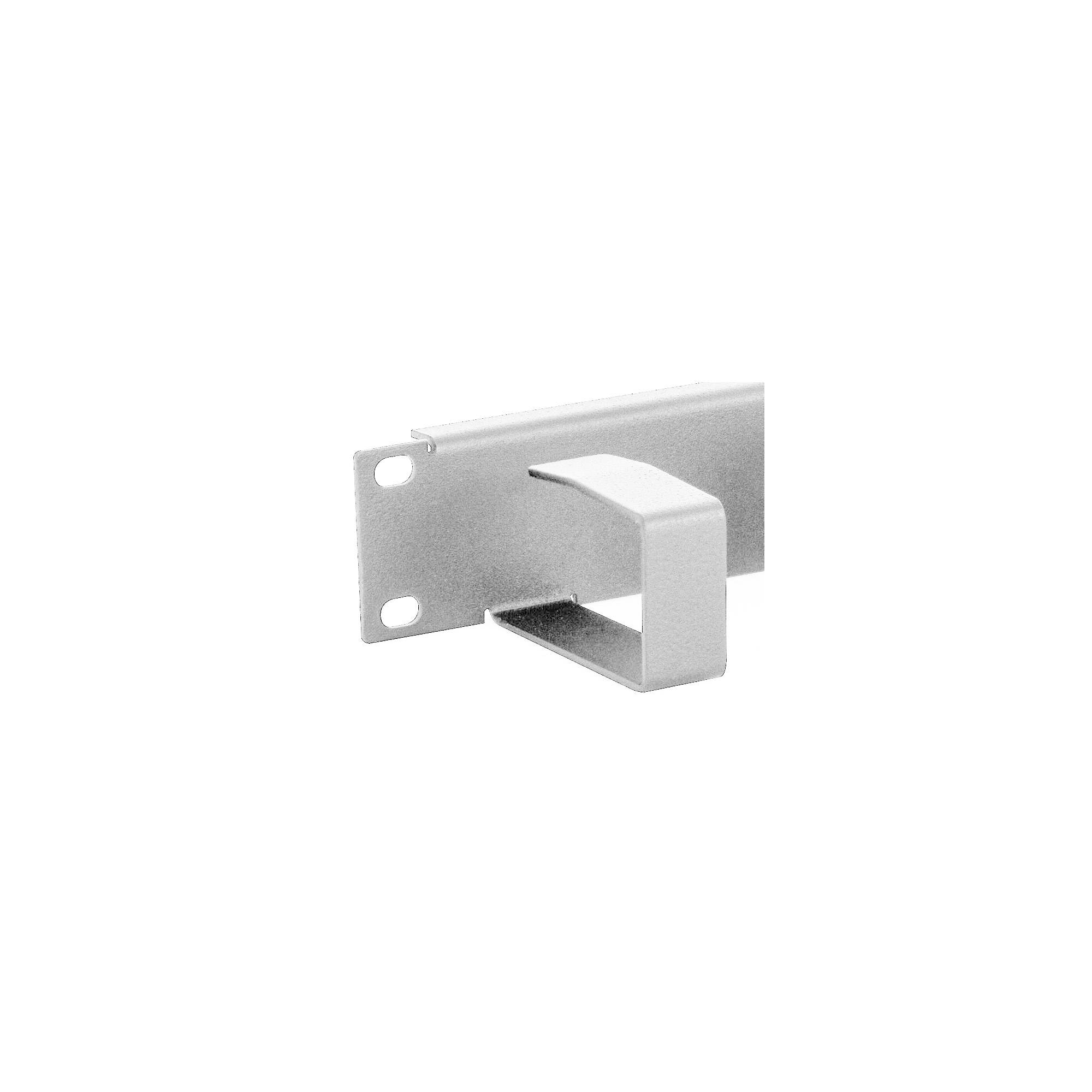 Triton RAC-VP-X21-A1 - Kabelführungsplatte für Schaltschrank - 1U - 48.3 cm (19")